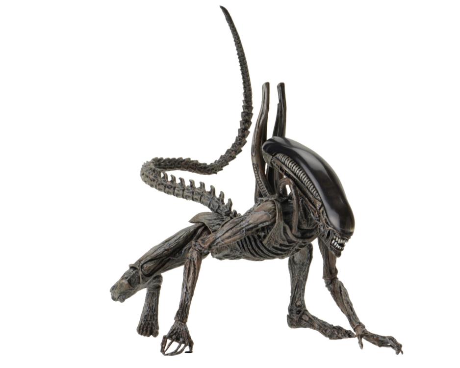 NECA Alien: Covenant - Xenomorph Action Figure