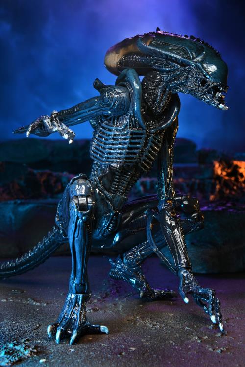 NECA Alien vs. Predator (Movie Deco): Arachnoid Alien Action Figure