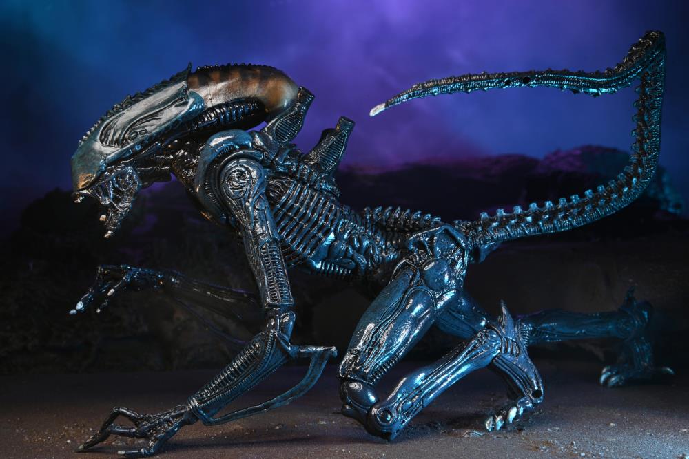 NECA Alien vs. Predator (Movie Deco): Arachnoid Alien Action Figure