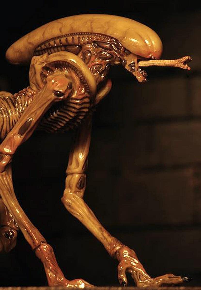 NECA Alien 3: Accessory Pack – Creature Pack