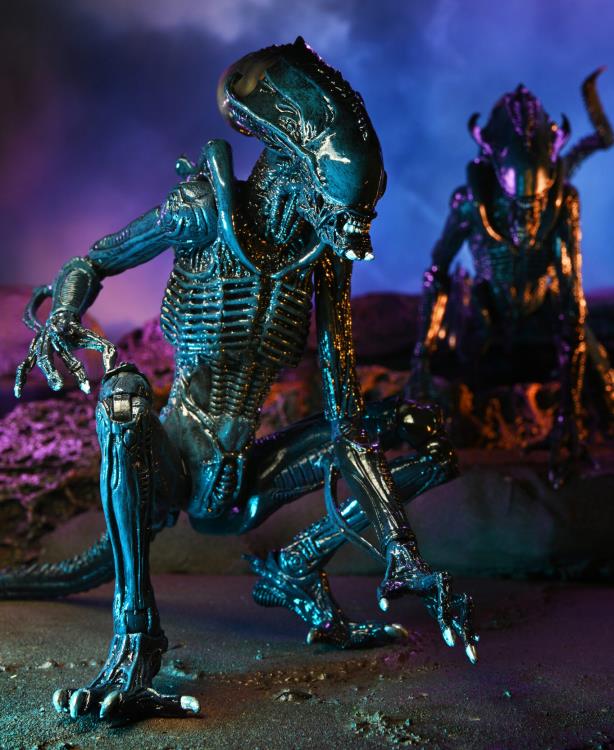 NECA Alien vs. Predator (Movie Deco): Arachnoid Alien Action Figure