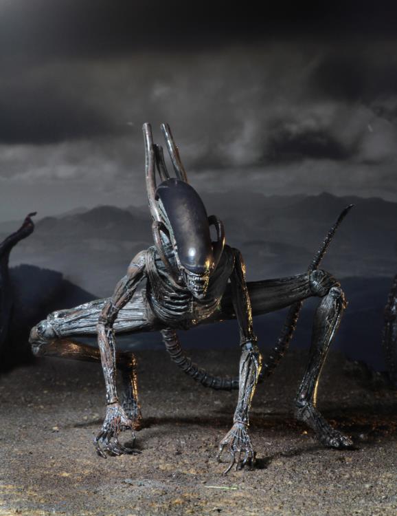 NECA Alien: Covenant Xenomorph Action Figure