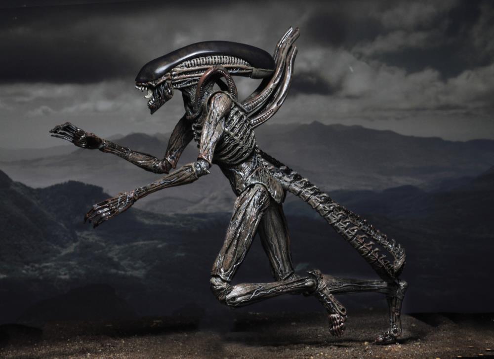 NECA Alien: Covenant - Xenomorph Action Figure