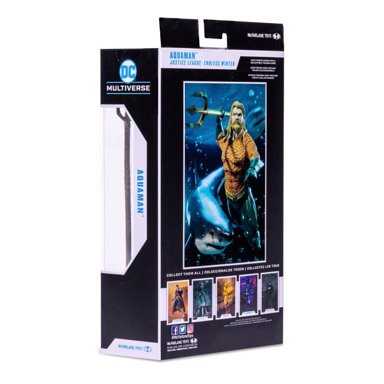 McFarlane Toys DC Multiverse: Endless Winter Aquaman Action Figure