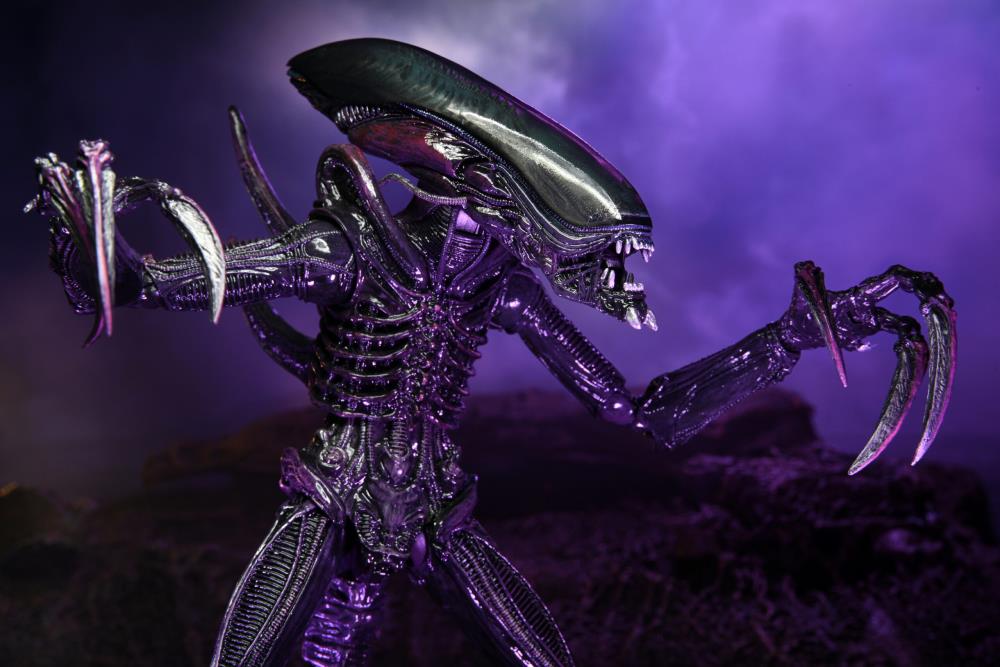 NECA Alien vs. Predator (Movie Deco): Razor Claws Alien Action Figure