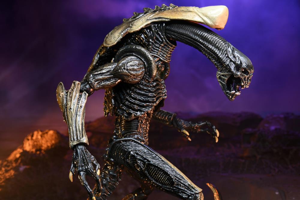 NECA Alien vs. Predator (Movie Deco): Chrysalis Alien Action Figure