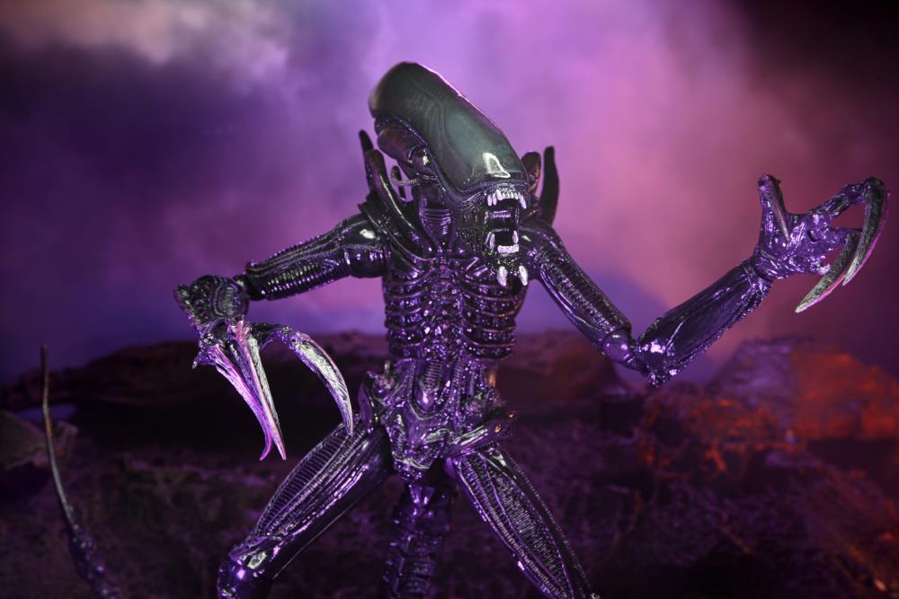 NECA Alien vs. Predator (Movie Deco): Razor Claws Alien Action Figure