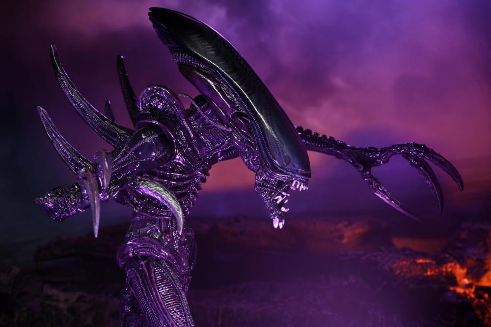 NECA Alien vs. Predator (Movie Deco): Razor Claws Alien Action Figure