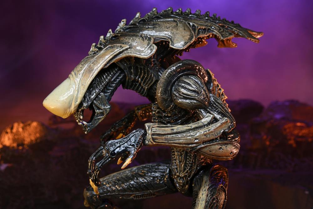 NECA Alien vs. Predator (Movie Deco): Chrysalis Alien Action Figure
