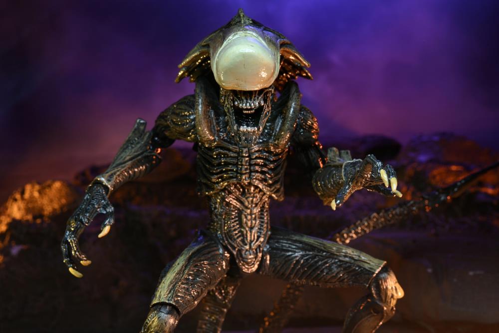 NECA Alien vs. Predator (Movie Deco): Chrysalis Alien Action Figure