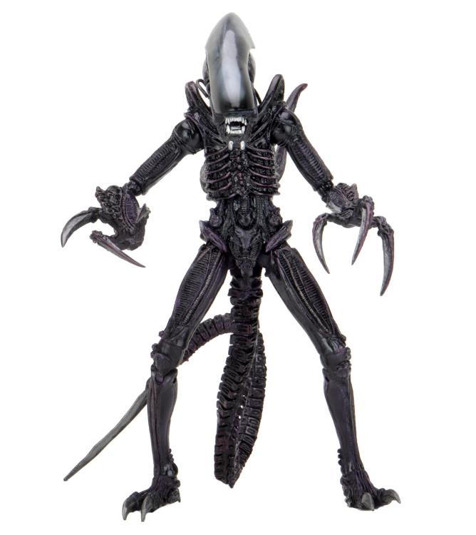 NECA Alien vs. Predator (Movie Deco): Razor Claws Alien Action Figure