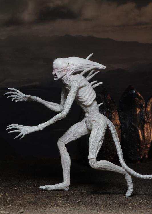 NECA Alien: Covenant - Neomorph Action Figure