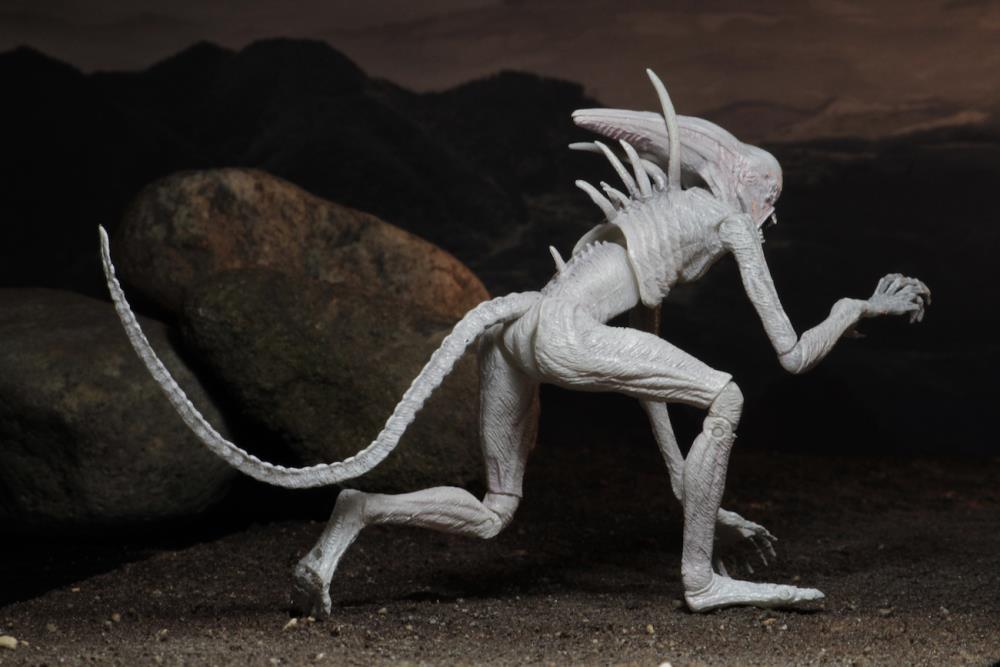 NECA Alien: Covenant - Neomorph Action Figure