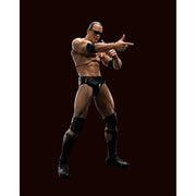 WWE S.H.Figuarts The Rock - Nerd Arena