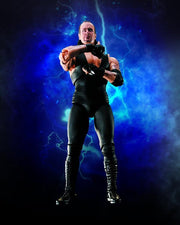 WWE S.H.Figuarts Undertaker - Nerd Arena