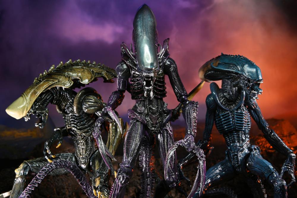 NECA Alien vs. Predator (Movie Deco): Chrysalis Alien Action Figure