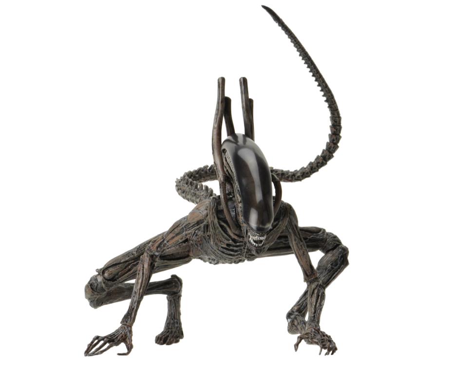 NECA Alien: Covenant - Xenomorph Action Figure