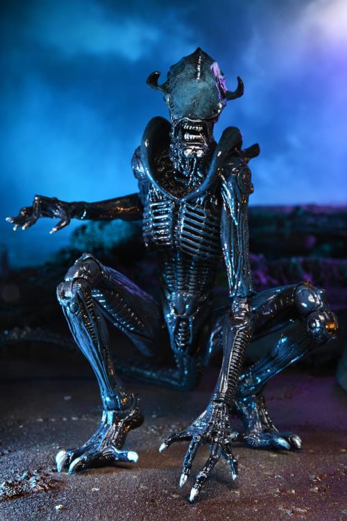 NECA Alien vs. Predator (Movie Deco): Arachnoid Alien Action Figure