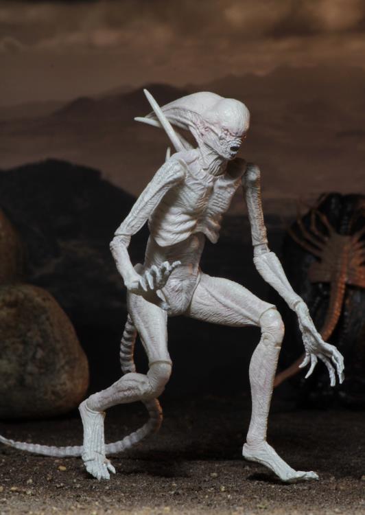 NECA Alien: Covenant - Neomorph Action Figure