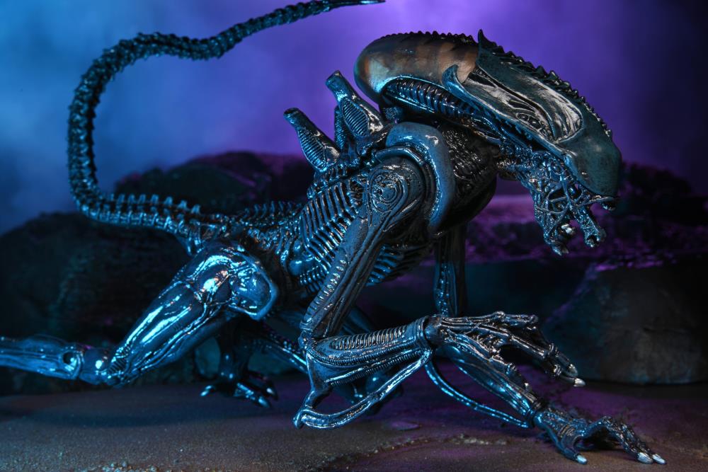 NECA Alien vs. Predator (Movie Deco): Arachnoid Alien Action Figure