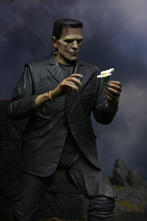 NECA Universal Monsters: Ultimate Frankenstein's Monster (Color) Action Figure