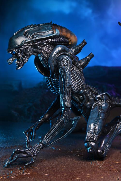 NECA Alien vs. Predator (Movie Deco): Arachnoid Alien Action Figure