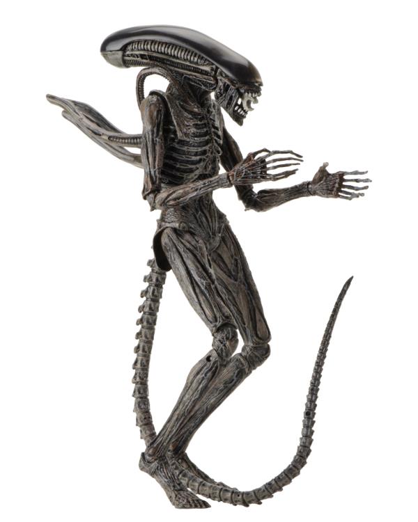 NECA Alien: Covenant Xenomorph Action Figure - Main Image