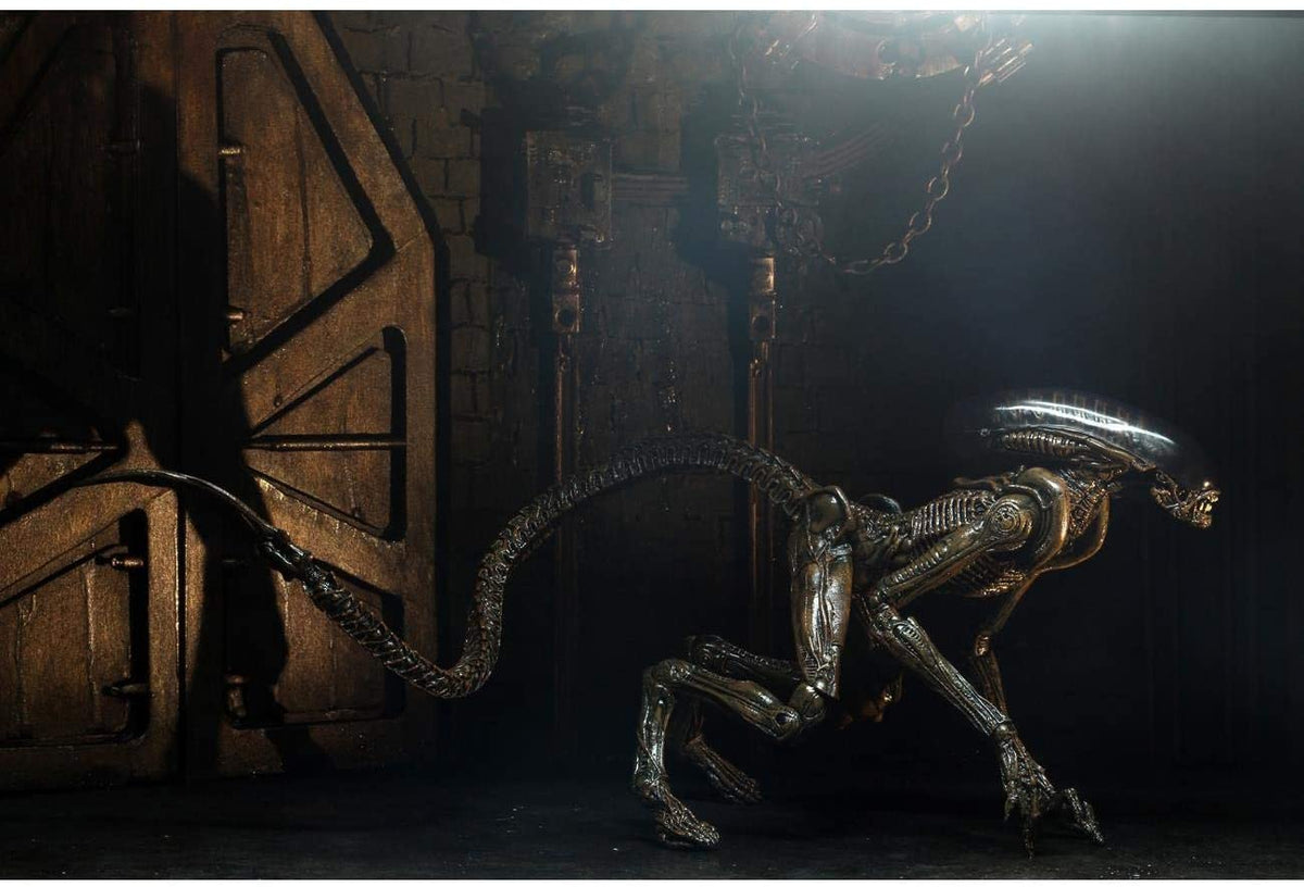 NECA Aliens -  Alien 3 - Ultimate Dog Alien Action Figure