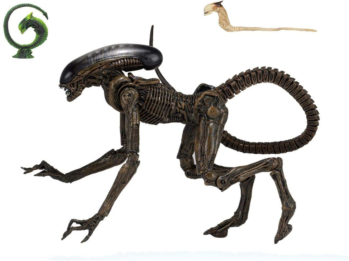 NECA Aliens -  Alien 3 - Ultimate Dog Alien Action Figure