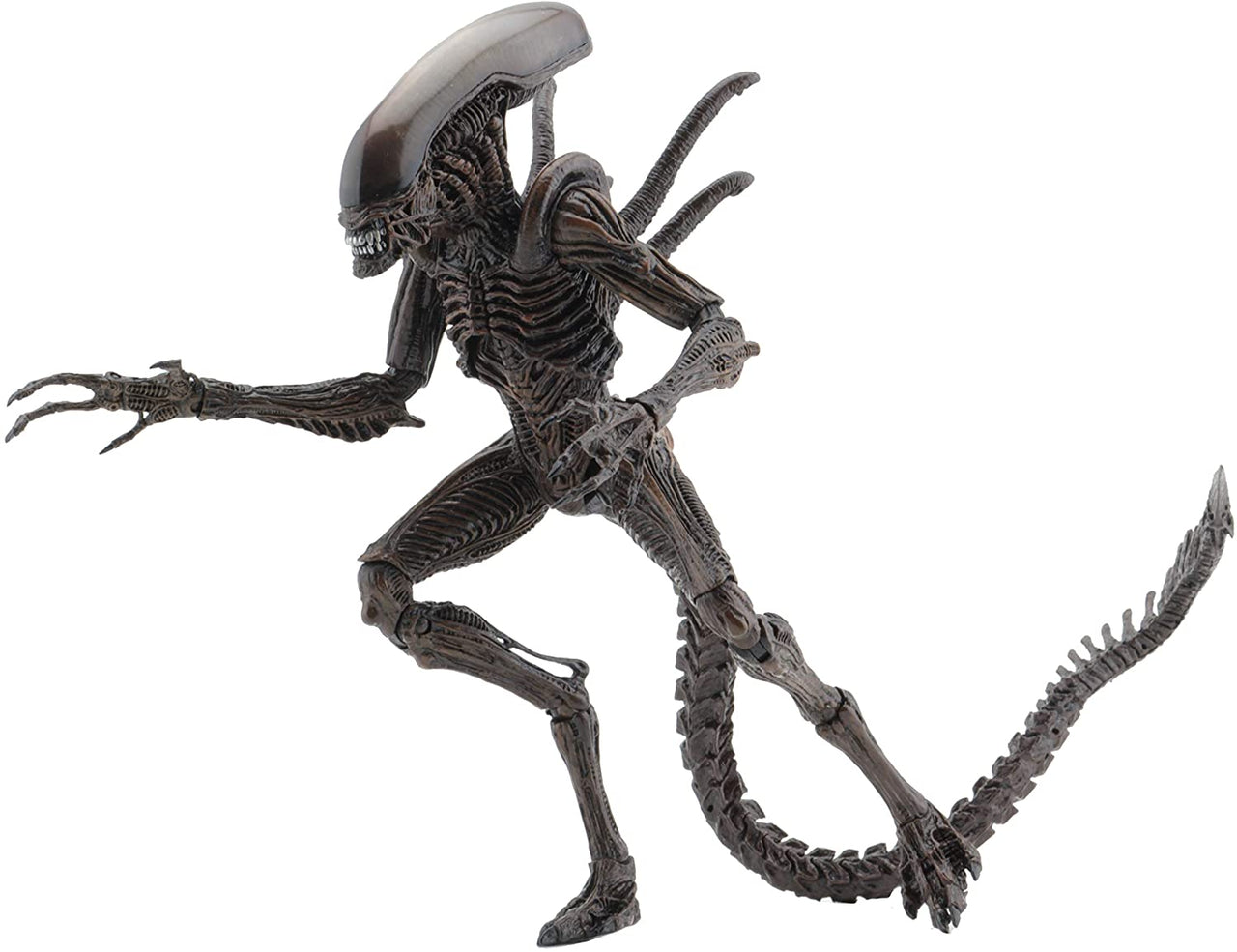 NECA Aliens - Series 14 - Alien Resurrection: Xenomorph Warrior Action Figure