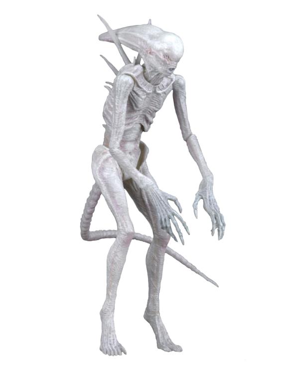 NECA Alien: Covenant - Neomorph Action Figure