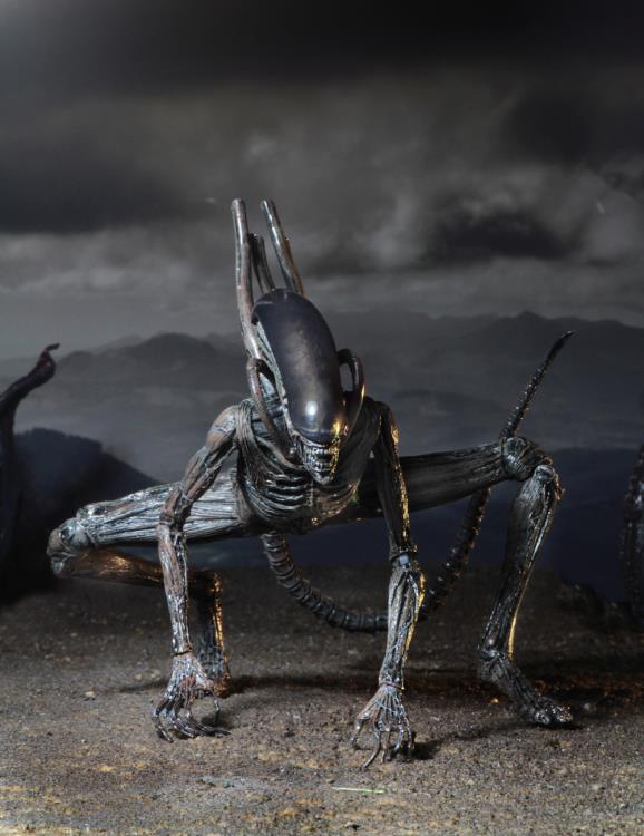 NECA Alien: Covenant - Xenomorph Action Figure