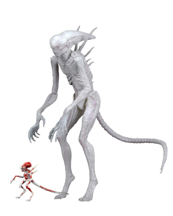 NECA Alien: Covenant - Neomorph Action Figure