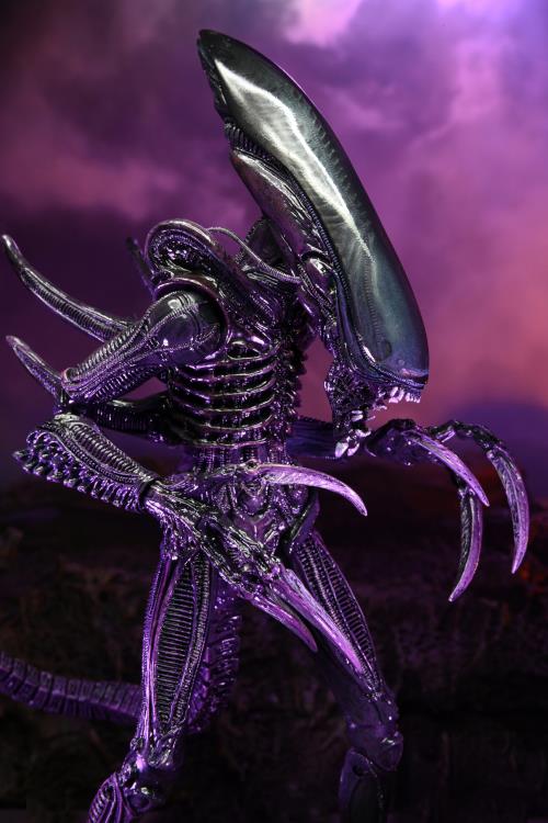 NECA Alien vs. Predator (Movie Deco): Razor Claws Alien Action Figure