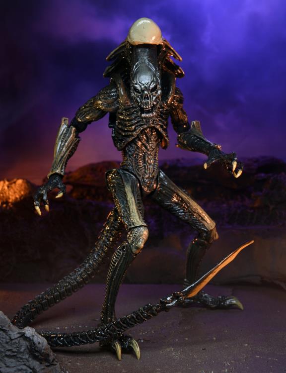 NECA Alien vs. Predator (Movie Deco): Chrysalis Alien Action Figure