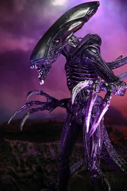 NECA Alien vs. Predator (Movie Deco): Razor Claws Alien Action Figure