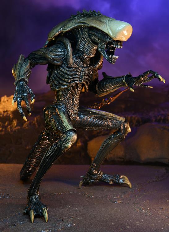 NECA Alien vs. Predator (Movie Deco): Chrysalis Alien Action Figure