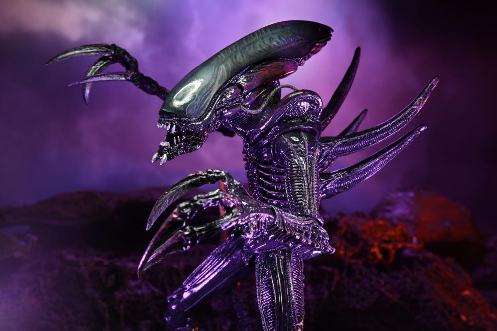 NECA Alien vs. Predator (Movie Deco): Razor Claws Alien Action Figure