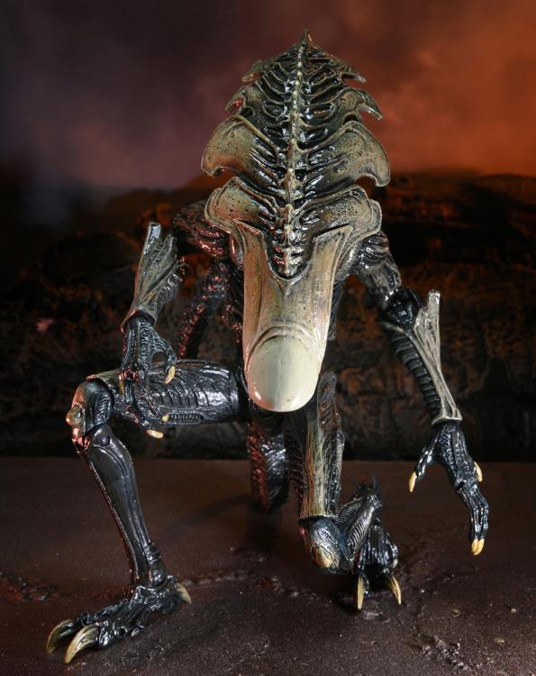 NECA Alien vs. Predator (Movie Deco): Chrysalis Alien Action Figure