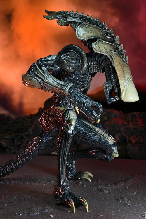 Alien and predator action on sale figures