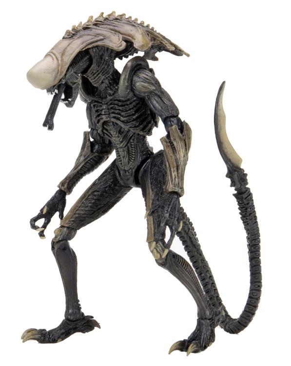 NECA Alien vs. Predator (Movie Deco): Chrysalis Alien Action Figure