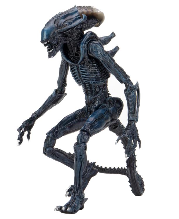 NECA Alien vs. Predator (Movie Deco): Arachnoid Alien Action Figure