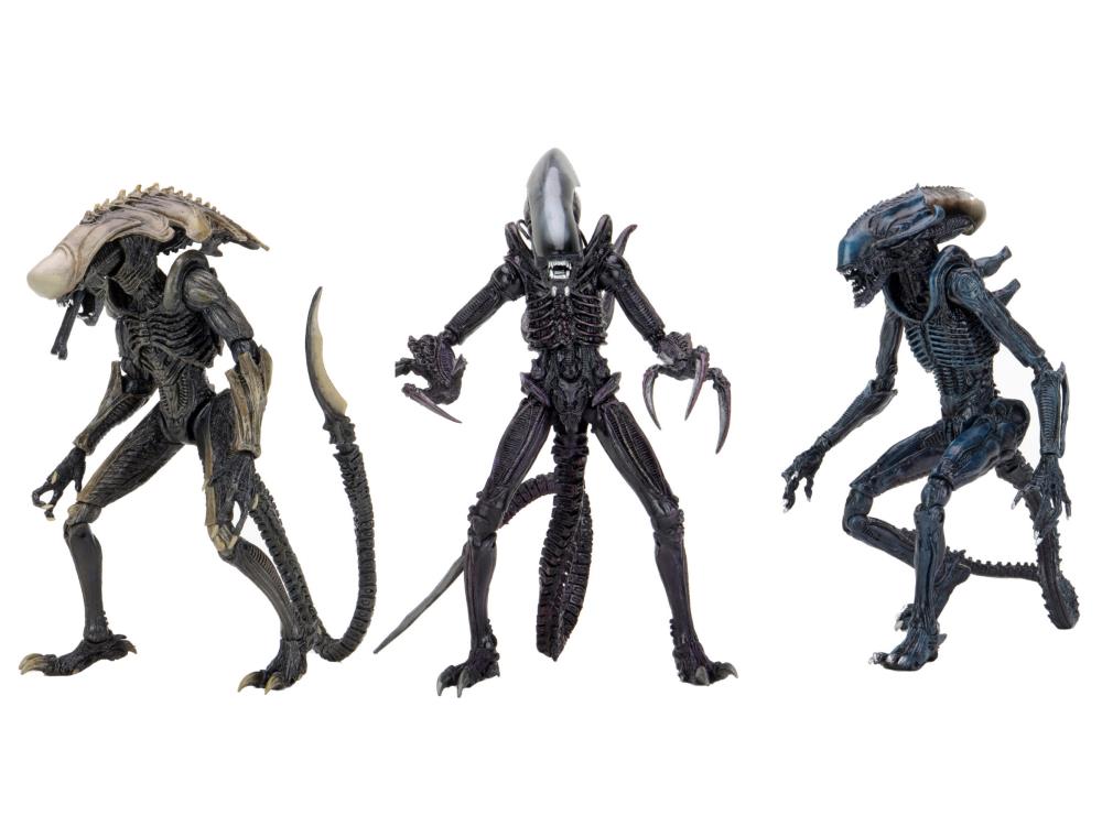 NECA Alien vs. Predator (Movie Deco): Chrysalis Alien Action Figure