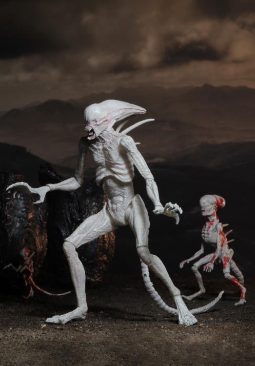NECA Alien: Covenant - Neomorph Action Figure