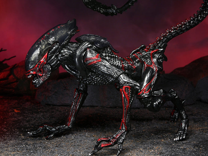 NECA Aliens :Kenner Tribute - Night Cougar Alien