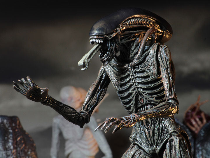 Alien covenant on sale xenomorph figure