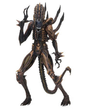 Neca Aliens Series 13 Set of 3 Figures - Nerd Arena