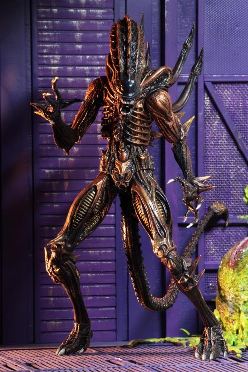 Neca Aliens Series 13 Set of 3 Figures - Nerd Arena