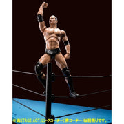 WWE S.H.Figuarts The Rock - Nerd Arena